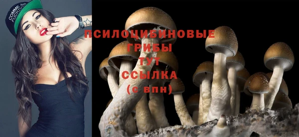 mdma Горняк
