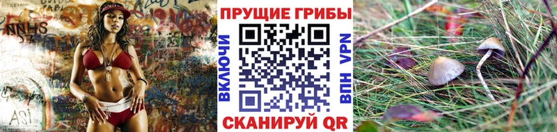 Галлюциногенные грибы Magic Shrooms  Купить закладки  Саров 